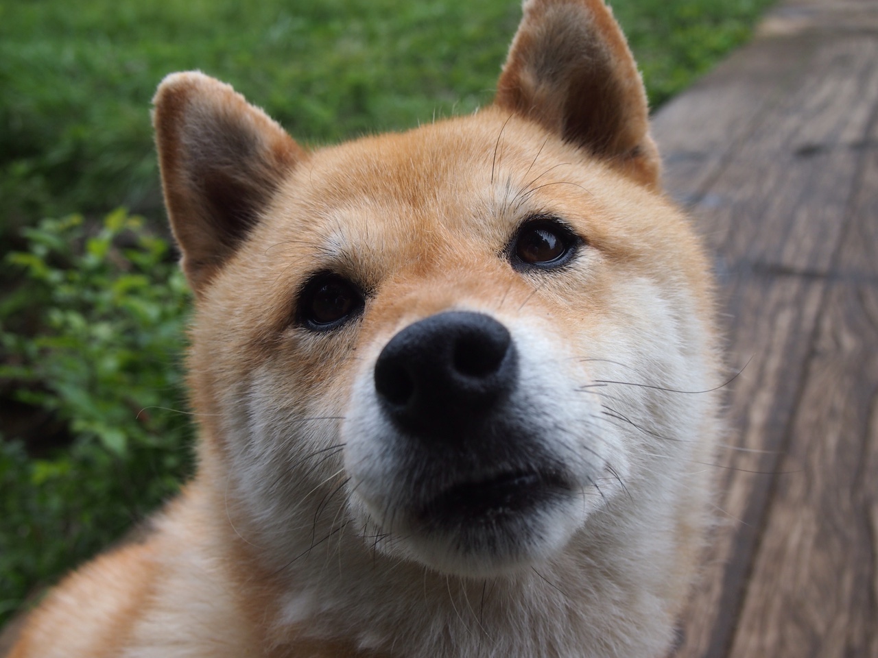 kaiyun官方入口登录-“精彩集锦：本周中超最佳瞬间盘点”，中超最佳阵容评选